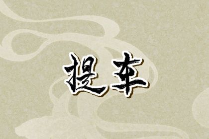 2025年05月05日提车日子有没有选对？ 今日提车买车好吗