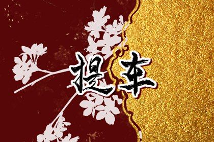 2025年农历五月廿三提车避凶了没？ 今日提车买车好吗