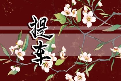 2025年农历二月十七提车好不好 宜提新车吉日查询
