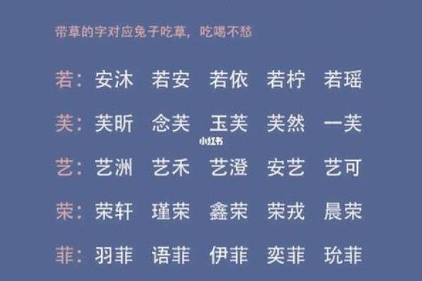 如何选择适合公司起名的字,提升品牌形象与运势 如何选择适合公司起名的字,提升品牌形象与运势