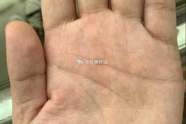 如何从张小龙的八字中解读成功的秘密 如何从张小龙的八字中解读成功的秘密