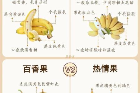 全球水果名称大全，拓宽你的水果知识
