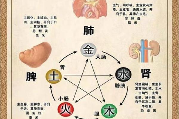 今五行属性解读:你知道自己的五行缺什么吗? 今五行属性解读:你知道自己的五行缺什么吗?