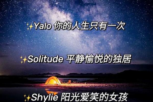 平淡微信名字背后的深意与魅力