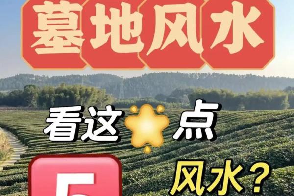 通过湖南墓地风水图片探索吉利与不利地形 通过湖南墓地风水图片探索吉利与不利地形