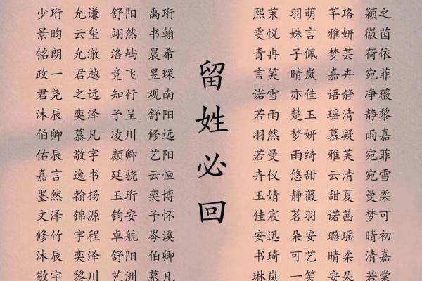 探索宝宝起名字典,赋予宝宝与众不同的名字 探索宝宝起名字典,赋予宝宝与众不同的名字