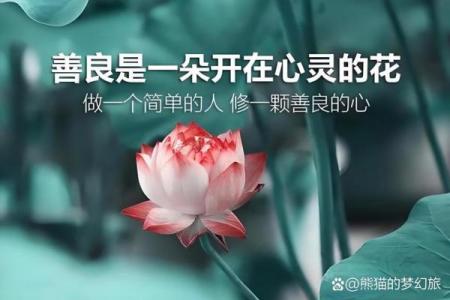 揭秘八字有根的真相，你的命运能否逆袭？