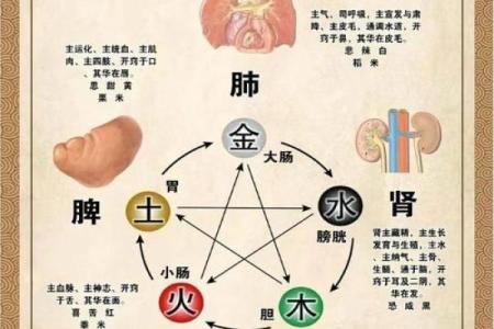今五行属性解读：你知道自己的五行缺什么吗？