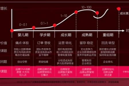 转运名字选择指南：打造品牌认知度的关键