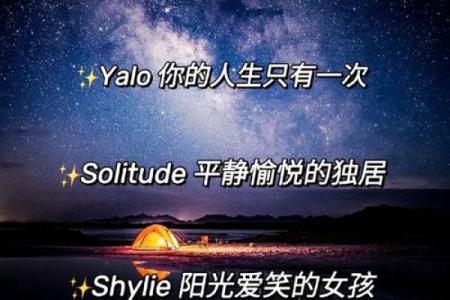 平淡微信名字背后的深意与魅力
