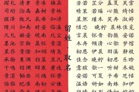 如何为宝宝挑选一个有爱的名字