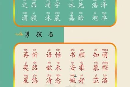 探索宝宝起名字典，赋予宝宝与众不同的名字