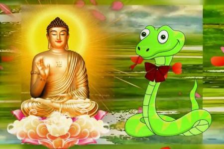 属蛇好运与危机并存，如何应对不同情况