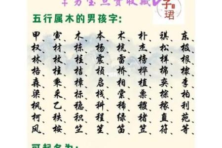 命宝宝命名技巧与注意事项