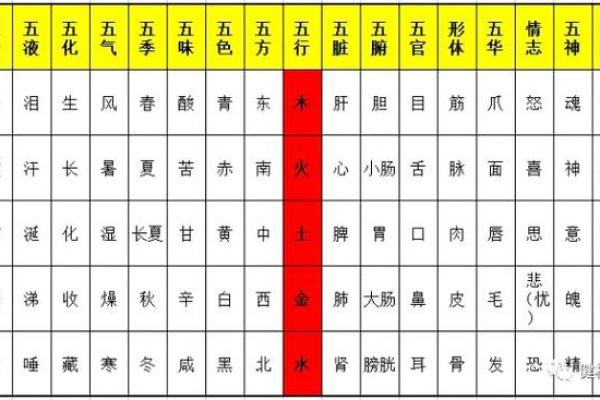 猪宝宝五行解读:影响未来的五行因素你了解吗 猪宝宝五行解读:影响未来的五行因素你了解吗