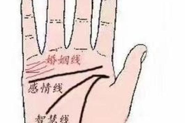 八字算婚姻,看看你的爱情运势如何变动 八字算婚姻,看看你的爱情运势如何变动