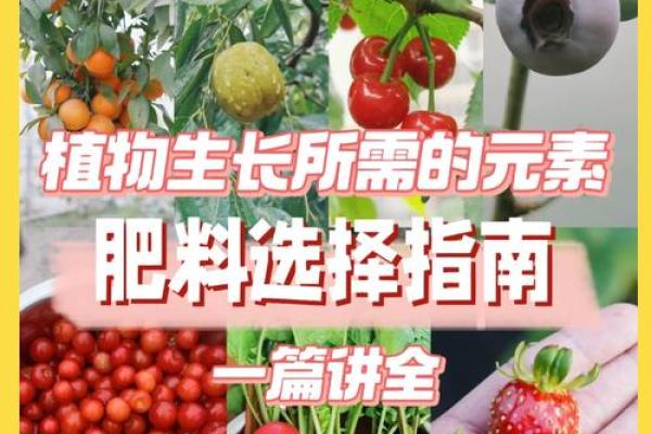 你不知道的果蔬名字背后的秘密