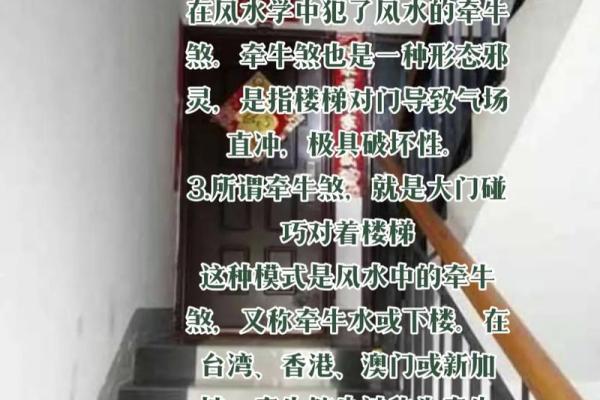 探索吉林风水协会在新时代的影响力与发展潜力 探索吉林风水协会在新时代的影响力与发展潜力