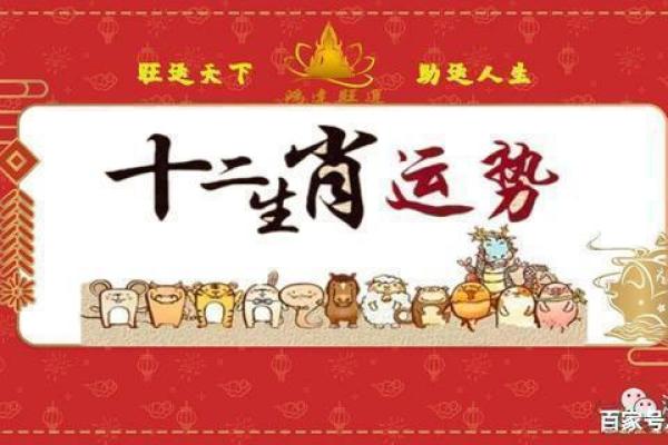 生肖鼠的运势指南：逆境中的转机与突破