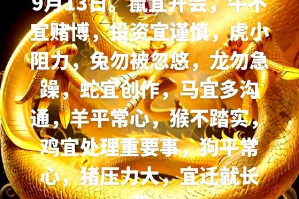 生肖鼠的运势指南：逆境中的转机与突破