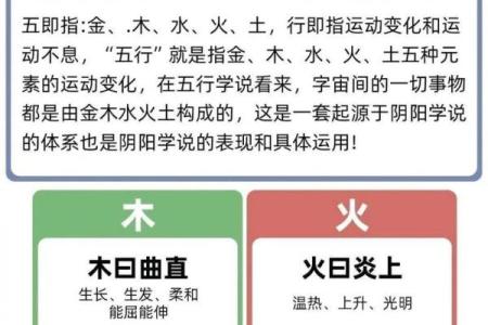 猪宝宝五行解读：影响未来的五行因素你了解吗
