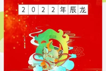 属龙人整体运势分析