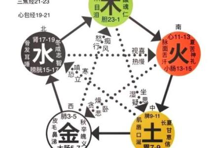五行水两画：探索水的奥秘与画艺的完美结合