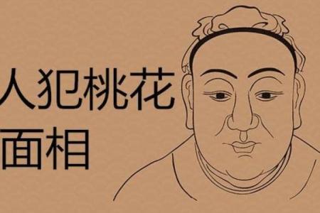 探究女命桃花与性格之间的关系