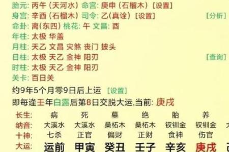 衍字五行属性揭秘，属什么呢？