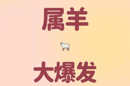 属羊生人运势：如何迎接未来的挑战