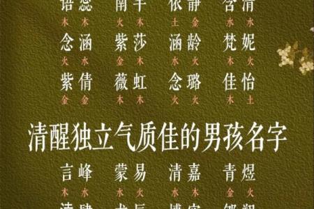 临沂宝宝起名注意事项 专家教你如何取个好名字