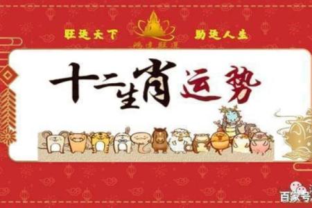 生肖鼠的运势指南：逆境中的转机与突破