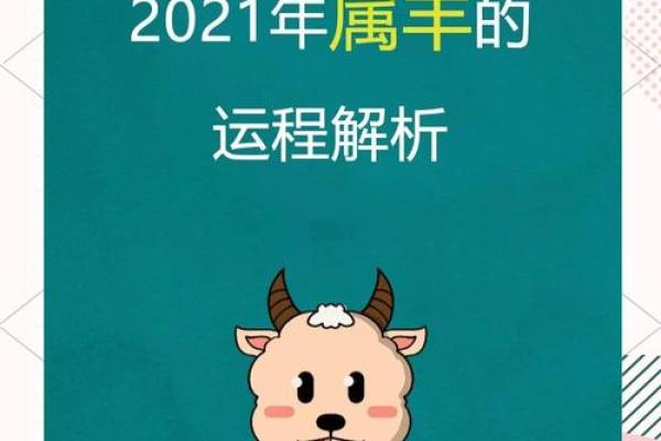 属羊人运势全解析：事业与财运的重大变化