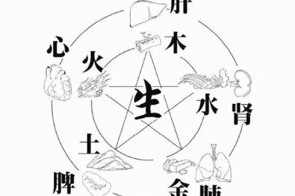 水金,天赋与命运的交织 水金,天赋与命运的交织