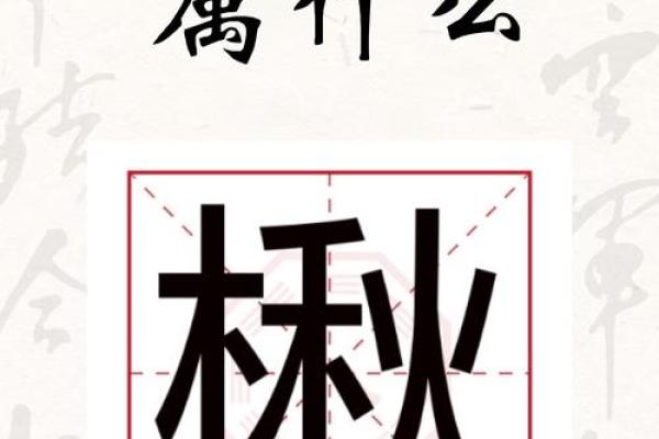 五行与汉字:如何通过五行解析汉字的深层含义 五行与汉字:如何通过五行解析汉字的深层含义