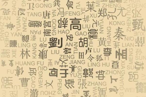 淑雅名字的含义与文化象征