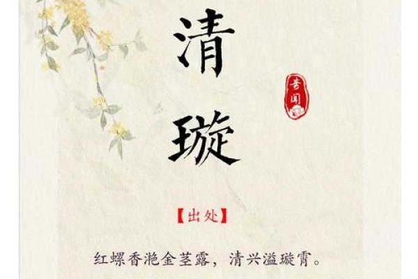 淑雅名字的含义与文化象征