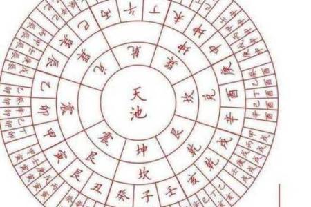 女星八字分析：成功背后的命理密码是什么？