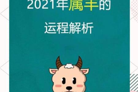 属羊人运势全解析：事业与财运的重大变化