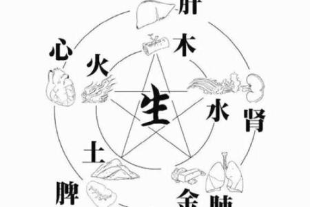 水金，天赋与命运的交织