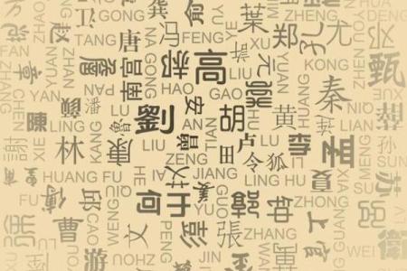 淑雅名字的含义与文化象征