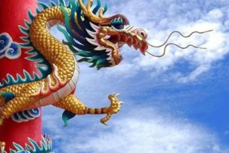 龙男职场与财运发展趋势