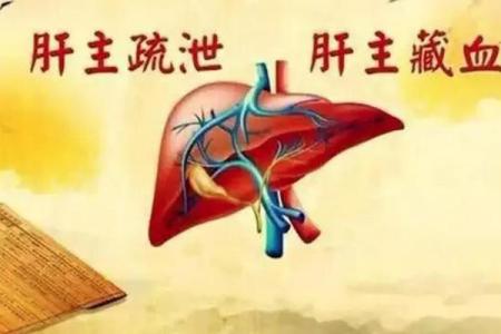 揭秘时间与五行属性的深层联系，如何影响你的生活与命运