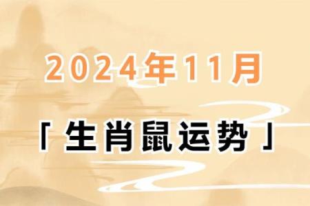 属鼠人整体运势：事业、健康、感情运势详解