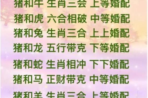 生辰八字相合的秘密：如何通过八字配对找出最佳伴侣