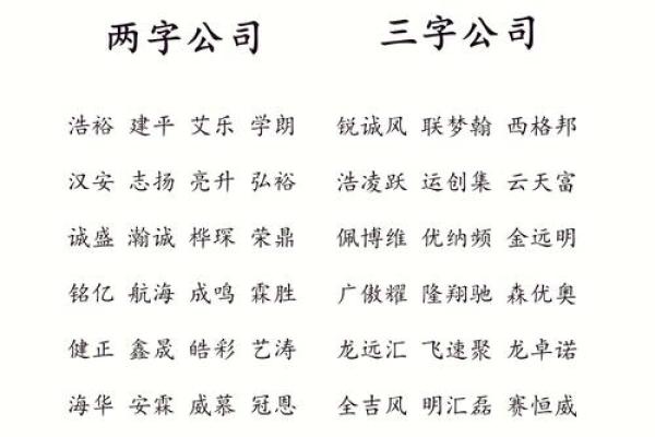 选择合适的软件公司名字的技巧