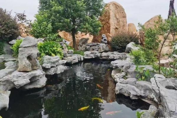 庭院水池风水摆放指南,提升家居气场 庭院水池风水摆放指南,提升家居气场