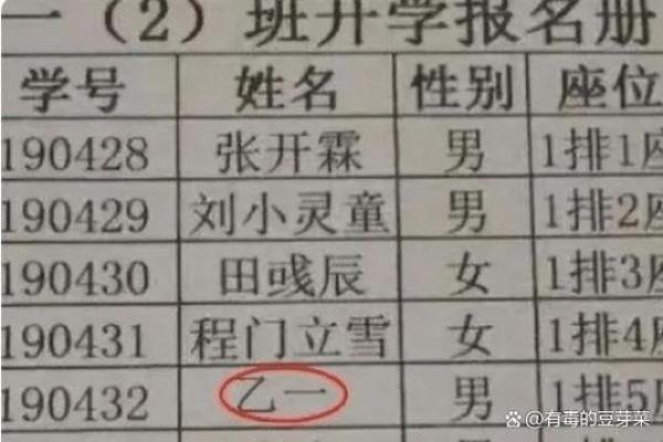 性母在宝宝起名中的重要性与技巧探讨 性母在宝宝起名中的重要性与技巧探讨