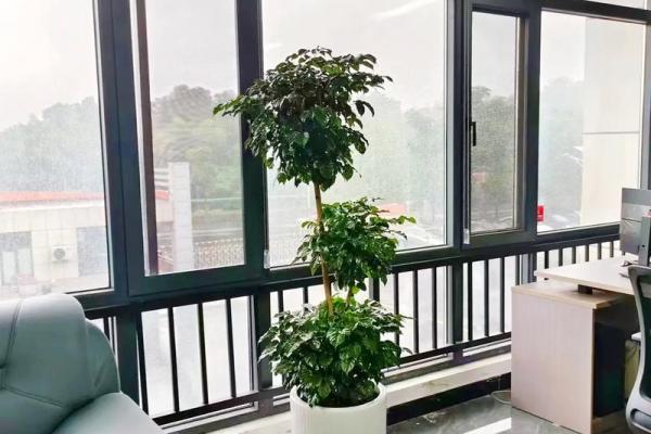 阳台上放办公电脑能带来好运吗 阳台上放办公电脑能带来好运吗