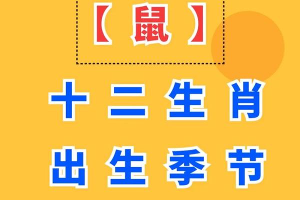 属鼠人的命运走势：运势起伏与应对策略